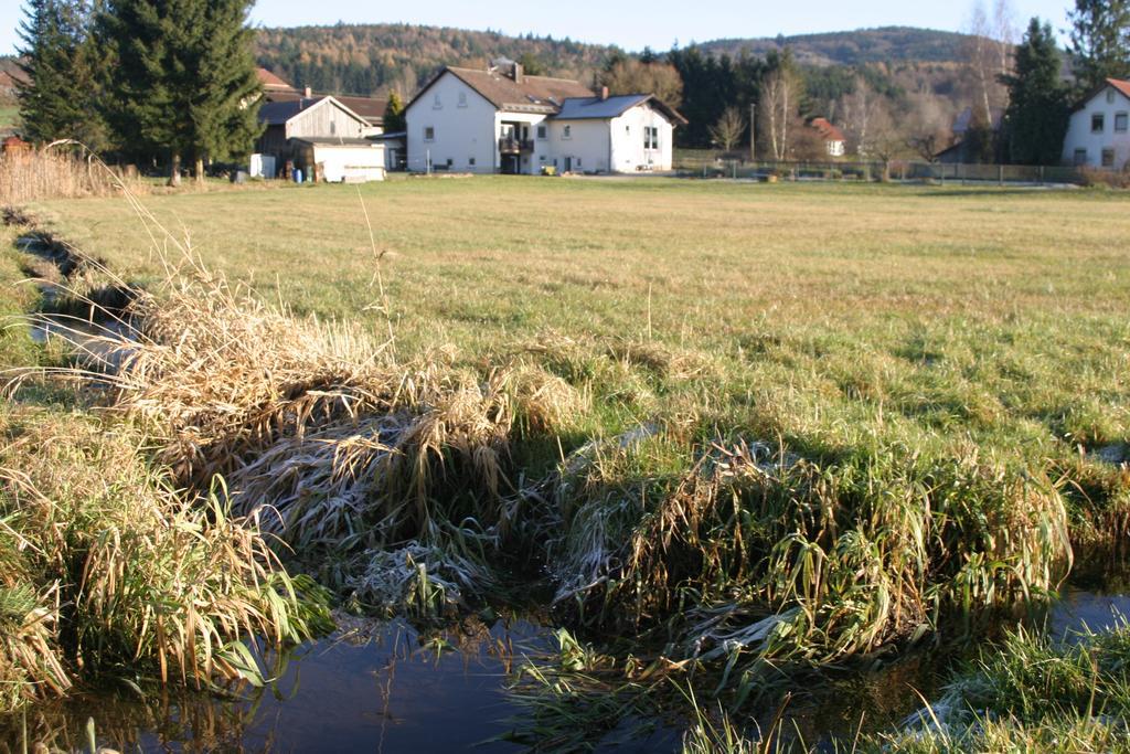 דירות Waldmünchen Haus Am Treffenbach מראה חיצוני תמונה